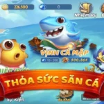 Highlights of the fish shooting game